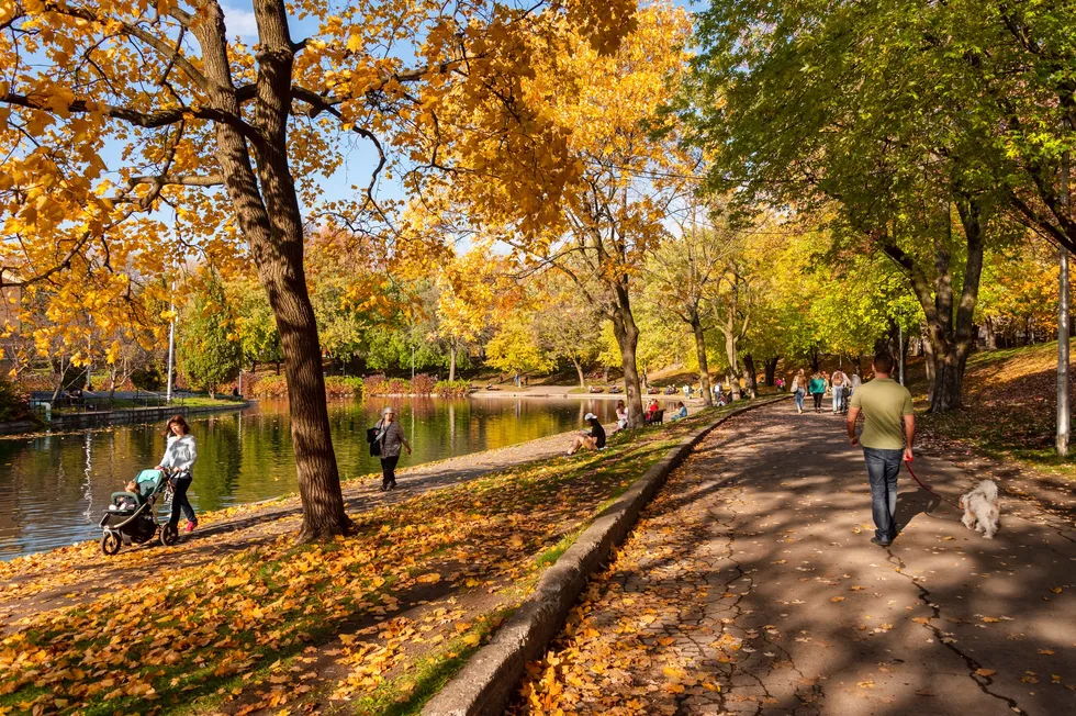 Parc La Fontaine